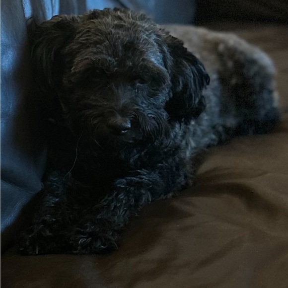 LIVE NOW!!! AND EVERY WEDNESDAY NIGHT 8:24 PM EST BOOKMARK TO BE NOTIFIED - Picture 5 of 17